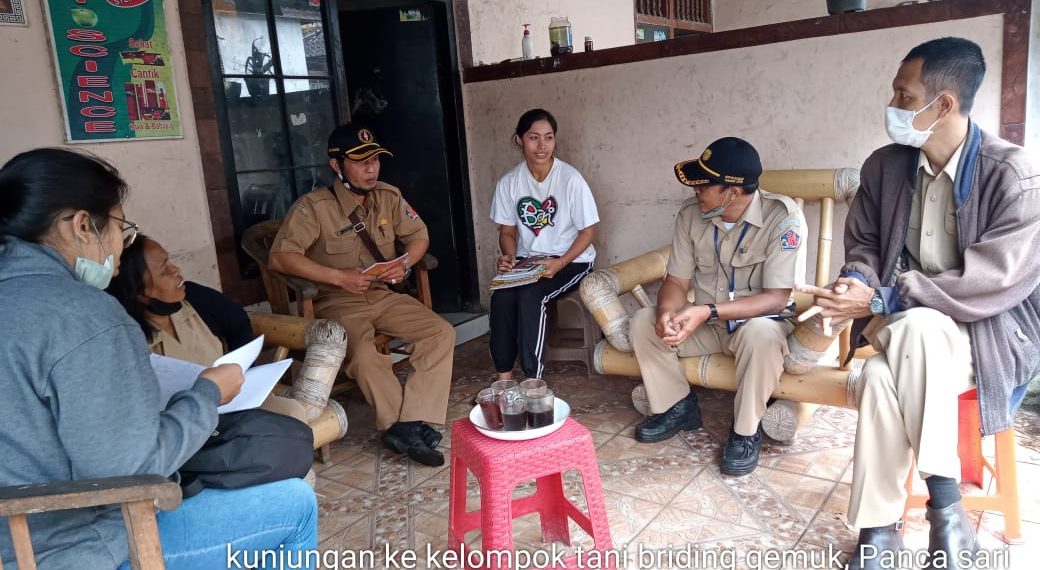 Pembinaan Persiapan Evaluasi Kelompok Tani Ternak Briding Gemuk, Pancasari