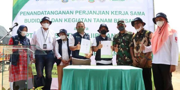 Jamin Stok Beras Jakarta, Food Station Jalin Contract Farming dengan Kelompok Tani Karawang