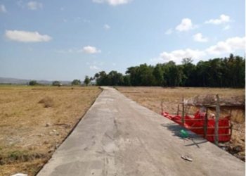 Program Jalan Usaha Tani Tingkatkan Perluas Jangkauan Pasar Petani di Kabupaten Bima