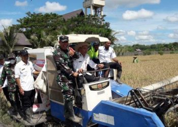 Personel Kodim 1010/Tapin Ikut Bantu Masyarakat Wujudkan Ketahanan Swasembada Pangan