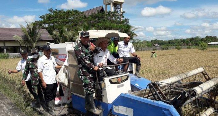 Personel Kodim 1010/Tapin Ikut Bantu Masyarakat Wujudkan Ketahanan Swasembada Pangan