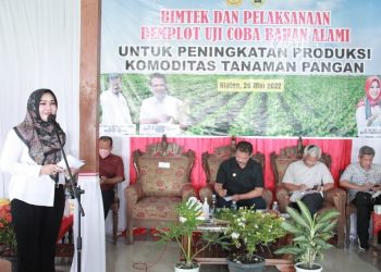 Inovatif! Dirjen Tanaman Pangan Kementan RI Kenalkan Biosaka Kepada Petani Klaten
