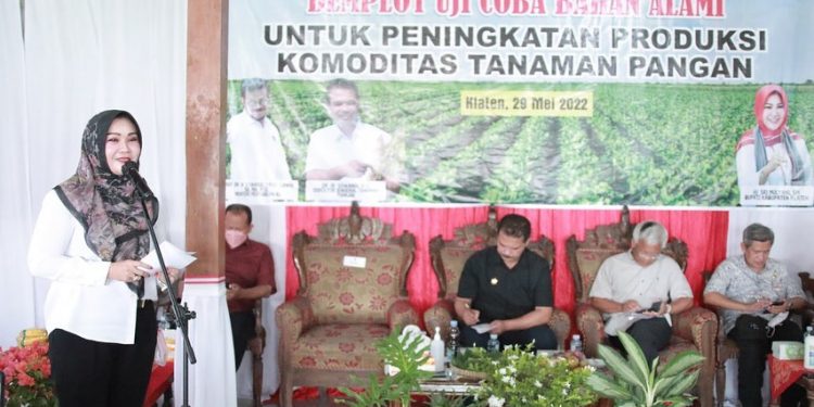 Inovatif! Dirjen Tanaman Pangan Kementan RI Kenalkan Biosaka Kepada Petani Klaten
