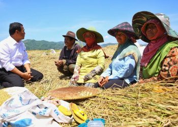 Kawal Ketahanan Pangan, Kementan Siapkan Langkah Strategis