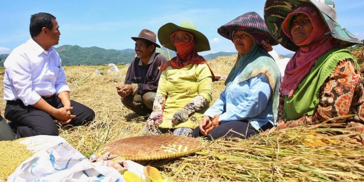 Kawal Ketahanan Pangan, Kementan Siapkan Langkah Strategis