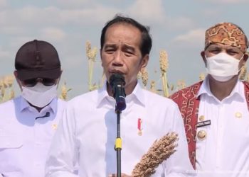 Ada Ancaman Krisis Pangan, Diam-diam Jokowi Sudah Siapkan Ini