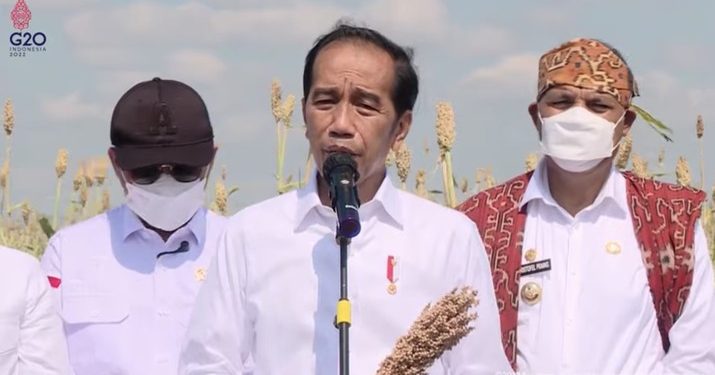Ada Ancaman Krisis Pangan, Diam-diam Jokowi Sudah Siapkan Ini
