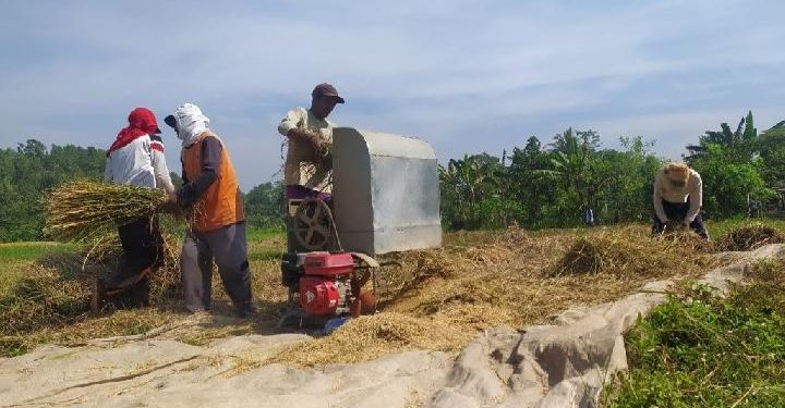 Kementan Merangkul Semua Pihak Kembangkan P4S