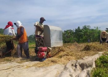 Kembangkan P4S, Kementan Merangkul Semua Pihak