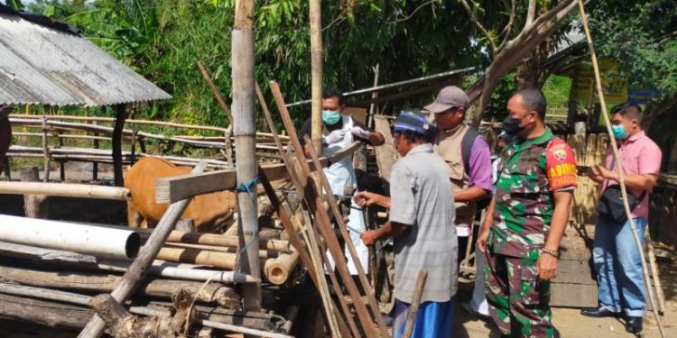 Satgas Gabungan Dibentuk Guna Kendalikan PMK di Lombok Tengah