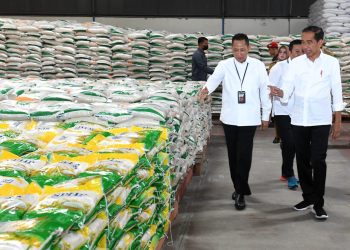 Jokowi Perpanjang Penyaluran Bantuan Pangan Beras