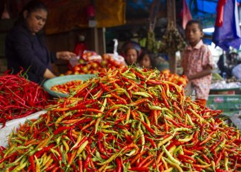 Jelang Akhir Pekan, Beras dan Cabai Alami Kenaikan Harga
