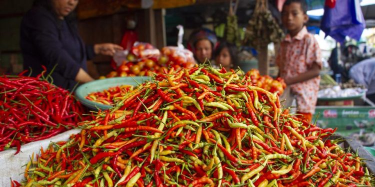 Jelang Akhir Pekan, Beras dan Cabai Alami Kenaikan Harga