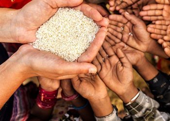 Wamendag Yakini Hasil AEM Bantu Atasi Krisis Pangan dan Masalah Iklim