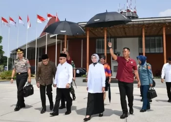 Wapres Akan Resmikan Kawasan Pangan Wujudkan Ketahanan Pangan Indonesia