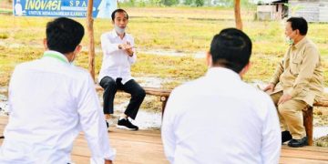 Alokasi Dana Jokowi untuk Melindungi Indonesia dari Krisis Pangan