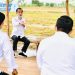 Alokasi Dana Jokowi untuk Melindungi Indonesia dari Krisis Pangan