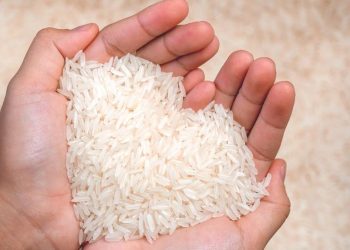 Harga beras menanjak naik jelang pemilu 2024