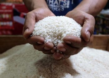 Produksi Beras Diperkirakan Meningkat Signifikan pada Agustus-Oktober