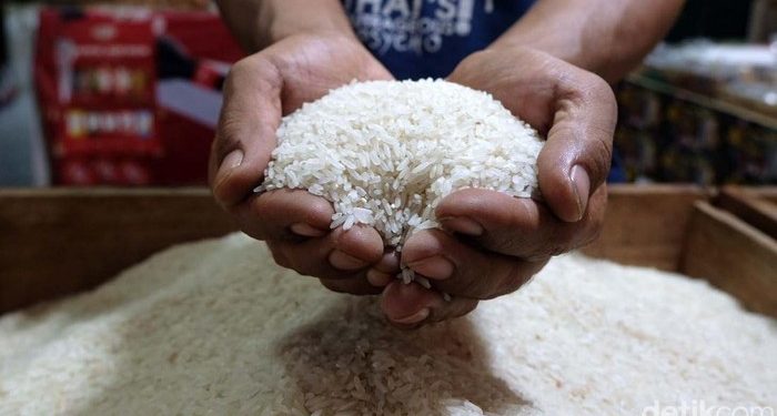 Produksi Beras Diperkirakan Meningkat Signifikan pada Agustus-Oktober