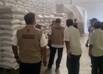 Satgas pangan beras tinjau stok beras