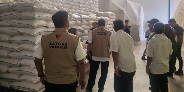 Satgas pangan beras tinjau stok beras
