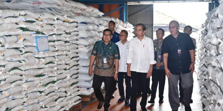 Jokowi pastikan harga beras akan turun