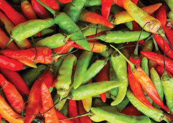 harga bahan pokok naik jelang Idul Adha 2024