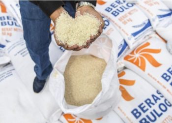 harga beras turun