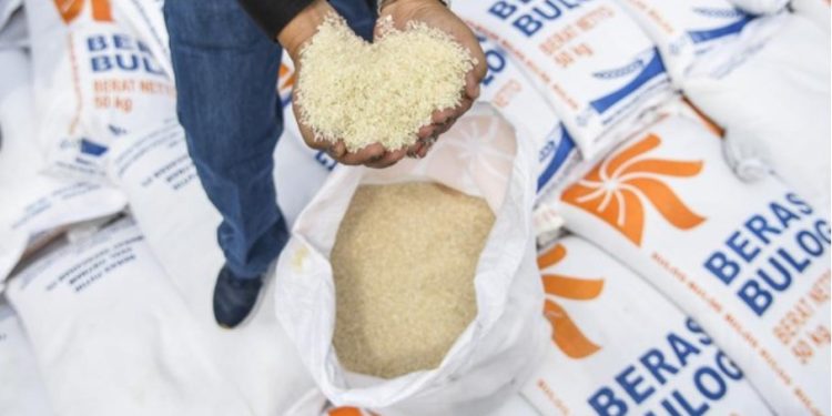 harga beras turun