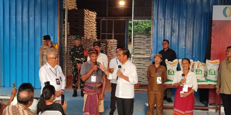 Jokowi pastikan stok beras aman hingga akhir 2024