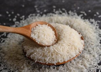 bulog serap 3 juta ton beras