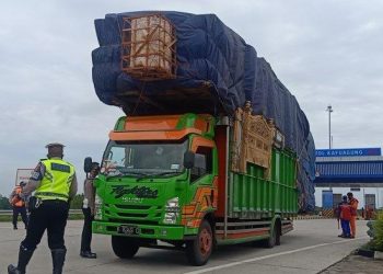 mengatur waktu istirahat pengemudi jarak jauh untuk keselamatan perjalanan